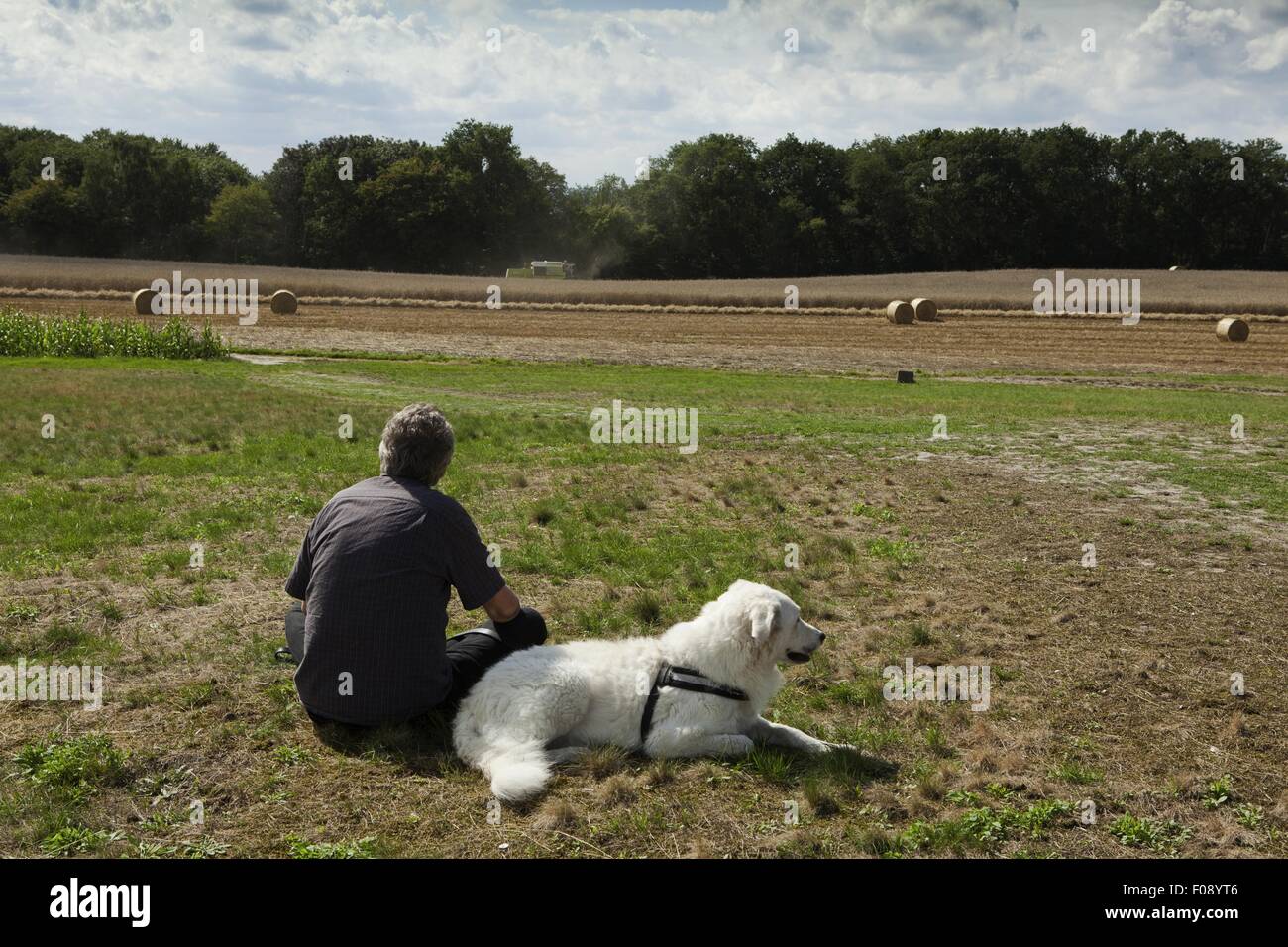 Rückansicht eines Mannes sitzend mit Hund auf Wiese in Worpswede, Deutschland Stockfoto