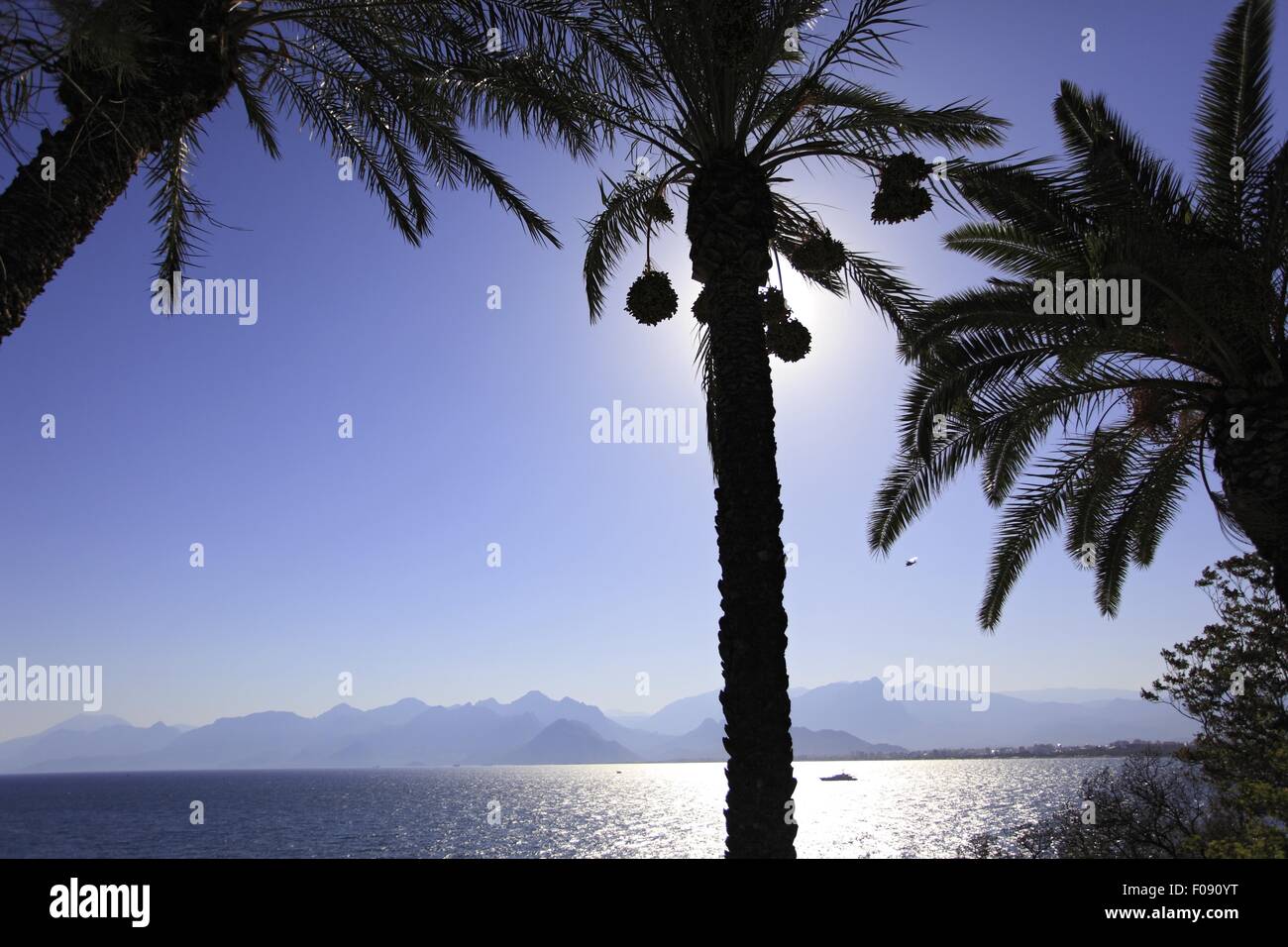 Blick auf die Bergkette und Palmen in Antalya, Türkei Stockfoto