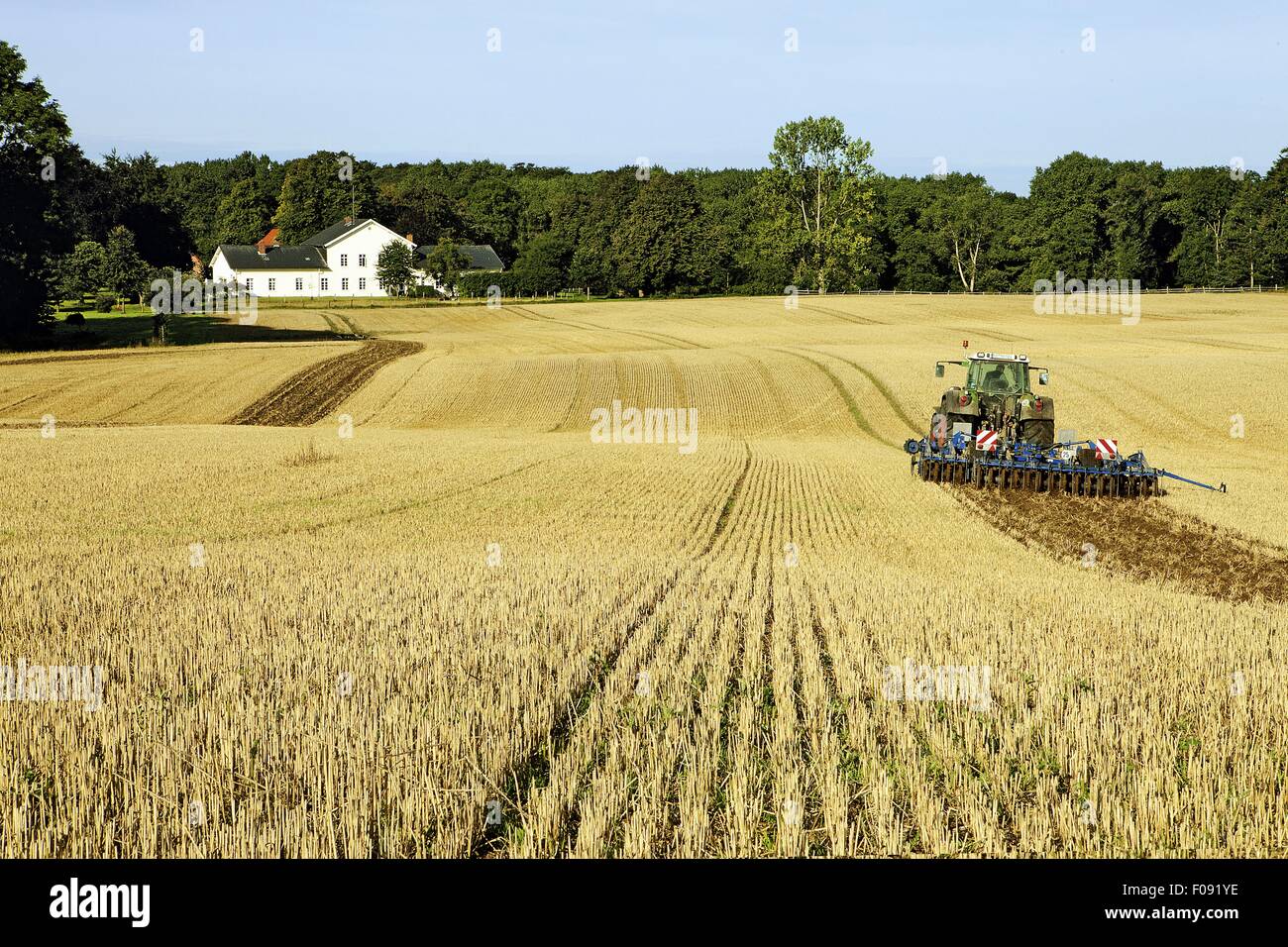 Blick auf Behrens Brook Ackerland bei Ostseeküste Stockfoto