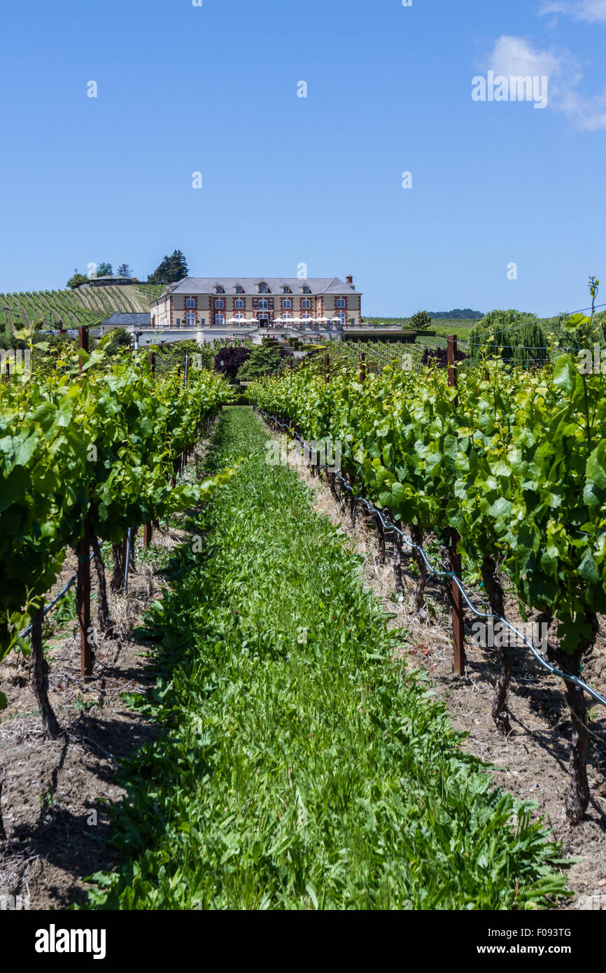 Napa Valley, Kalifornien - 12. Mai: Schloss, Domaine Carneros ein Ort, um tolle Weinprobe, 12. Mai 2015 Napa Valley Stockfoto