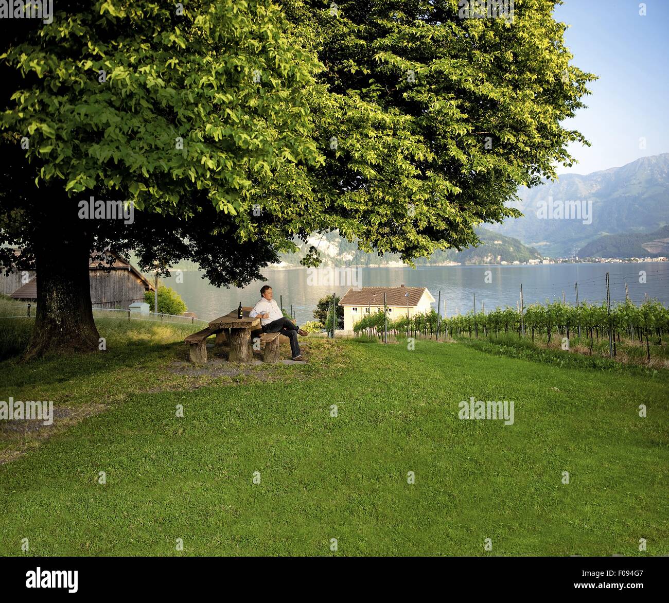 Toni Ottiger sitzen auf Bank in der Nähe von Vierwaldstättersee und die Alpen, Luzern, Schweiz Stockfoto
