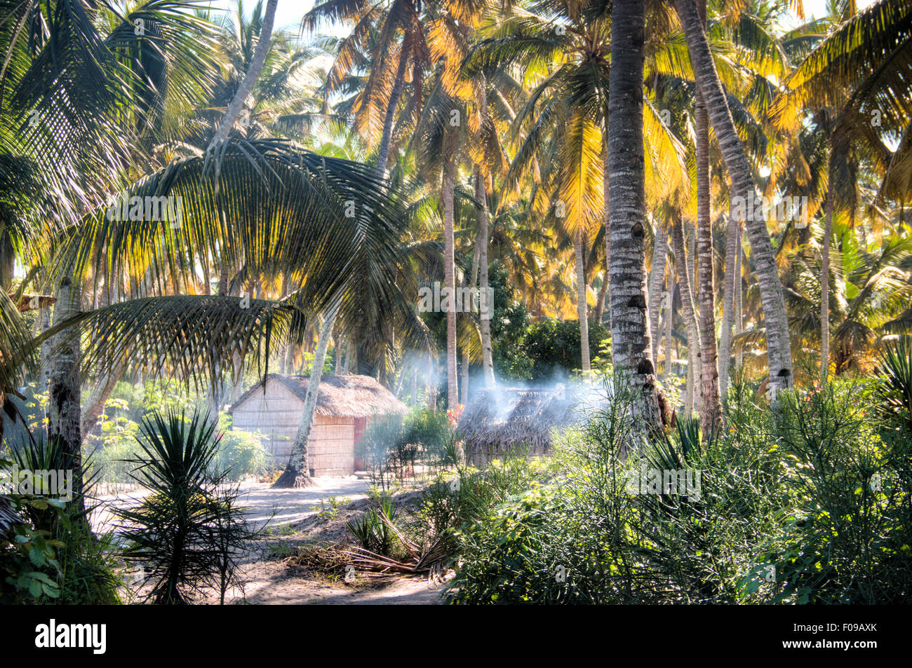 Afrikanisches Dorf zwischen Palmen in Tofo Stockfoto