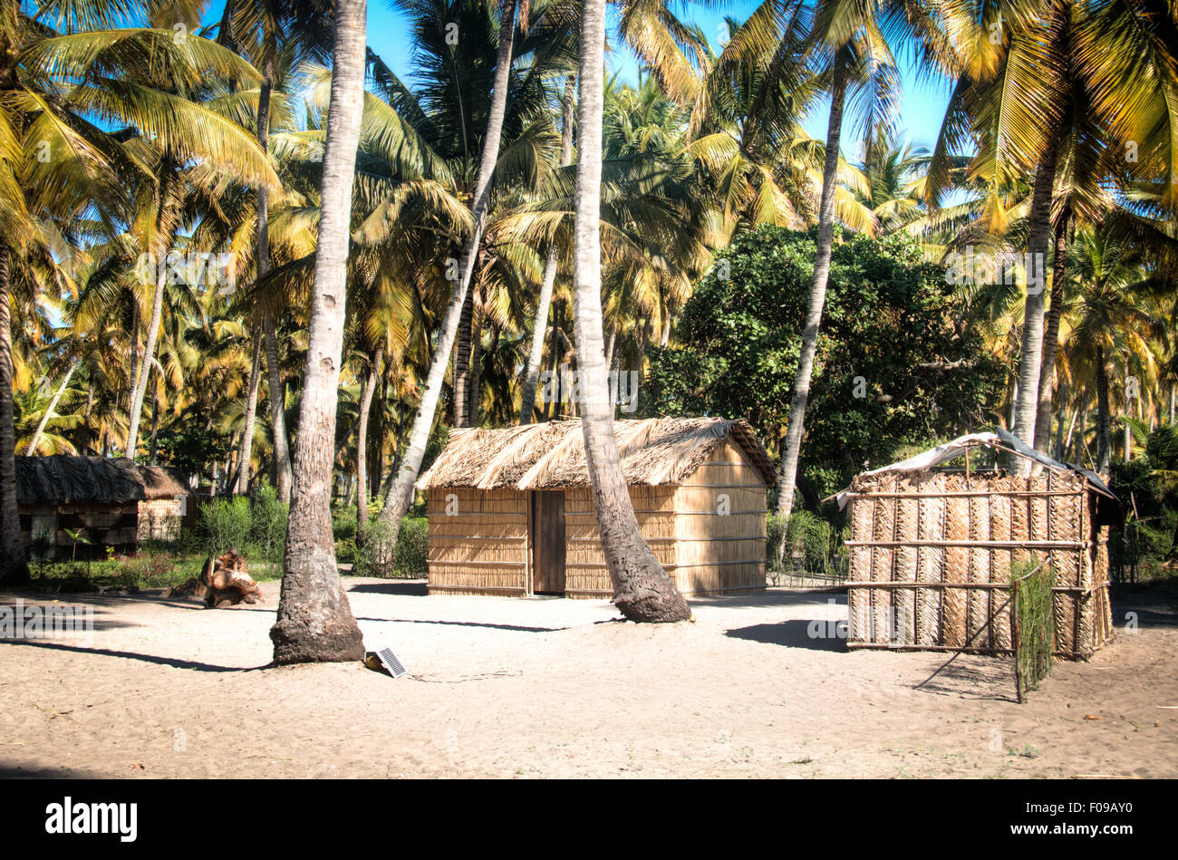 Afrikanisches Dorf zwischen Palmen in Tofo Stockfoto
