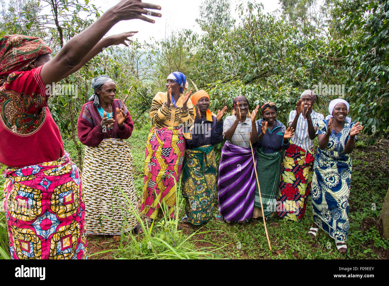 Völkermord Witwen kollektive, Lake Kivu Kaffeeregion, Ruanda Stockfoto