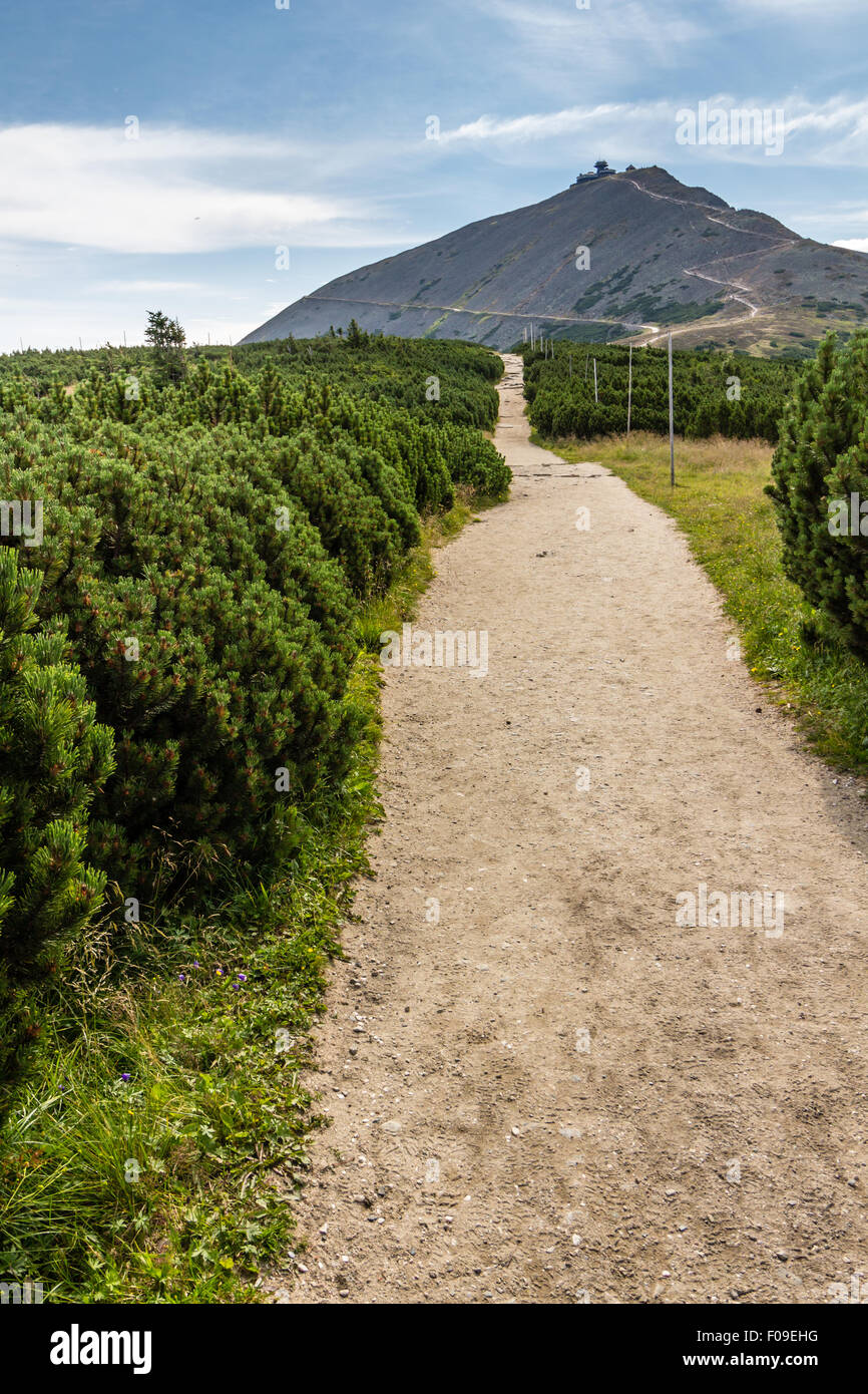 Auf dem Trail in der Nähe von Pec Pod Snezkou im Riesengebirge, Tschechische Republik Stockfoto