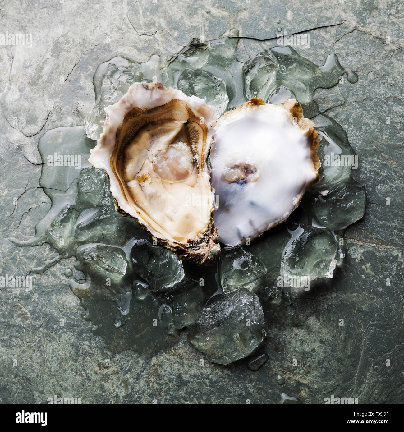 Herzform Auster auf Steinplatte Hintergrund mit Eis Stockfoto