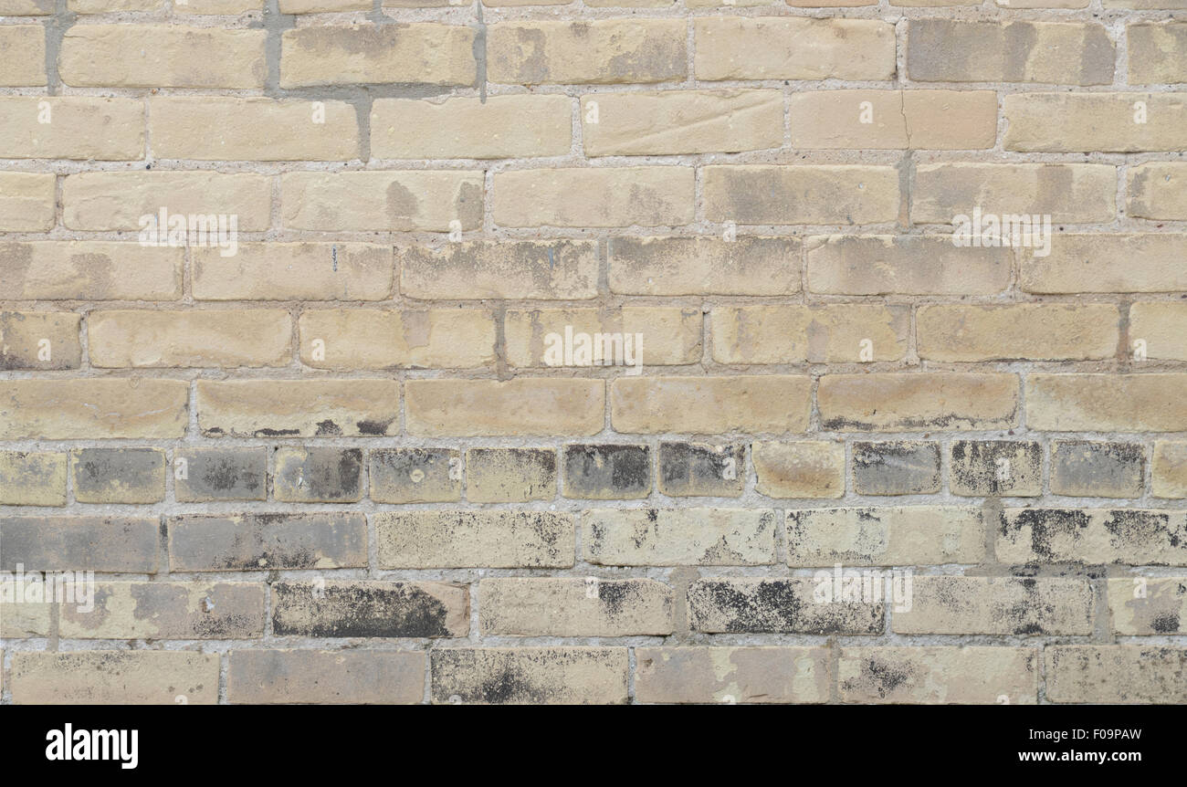 Beige und grau Ziegel Wand Hintergrund Stockfoto