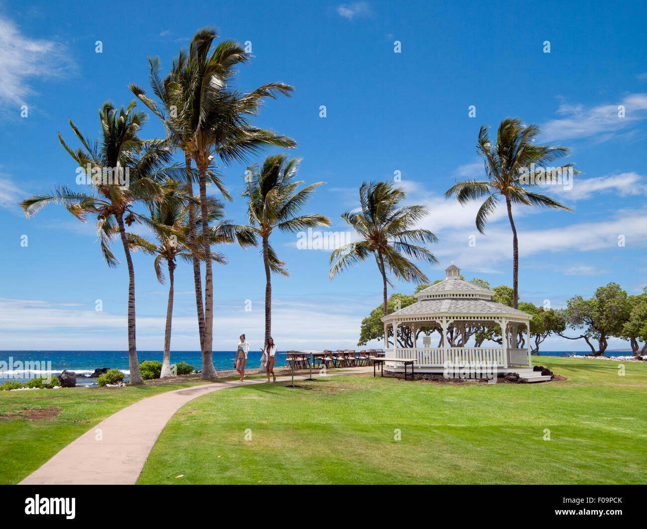 Ein Blick auf den Pavillon, luftigen Kokosnuss-Palmen und den Pazifischen Ozean im Fairmont Orchid auf der Kohala Coast, Hawai ' i. Stockfoto