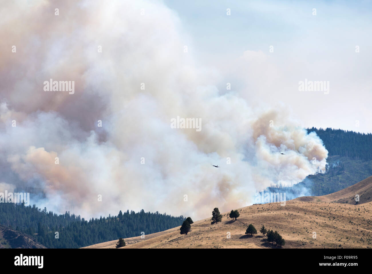 Ecke Creek Feuer brennt in der Nähe von Dayville, Oregon. Stockfoto