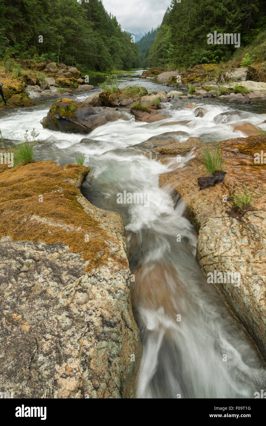 North Fork des Middle Fork des Willamette River fließt durch schmale Rinnen in Grundgestein, Oregon. Stockfoto