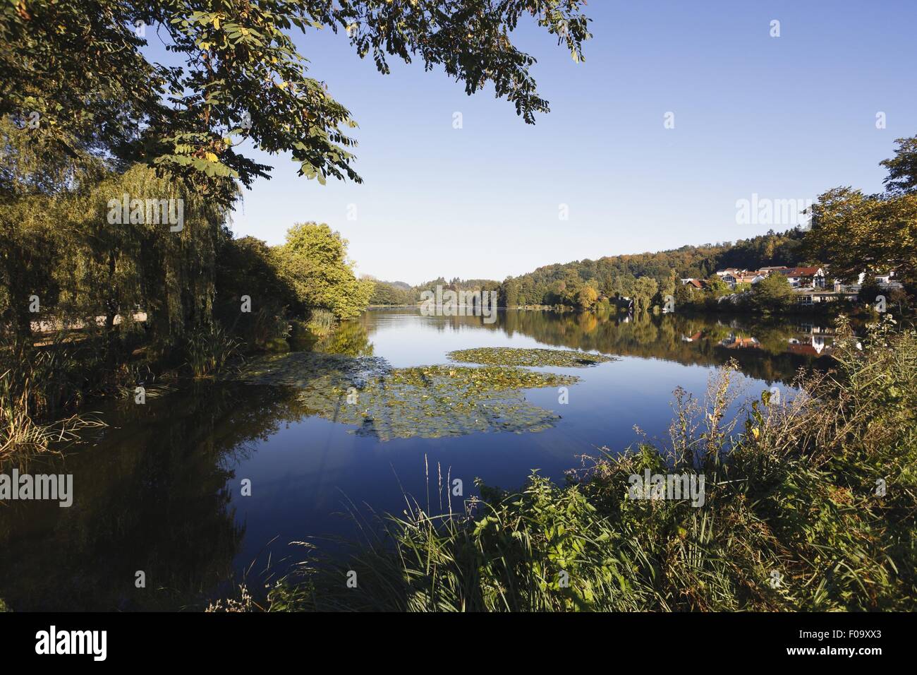 Blick auf Wurzbacher Teich in Niederwurzbach, Blieskastel, Saarland, Germany Stockfoto