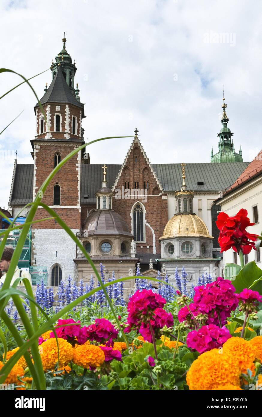 Blick auf Wawel Königsschloss durch Blumen in Krakau, Polen Stockfoto