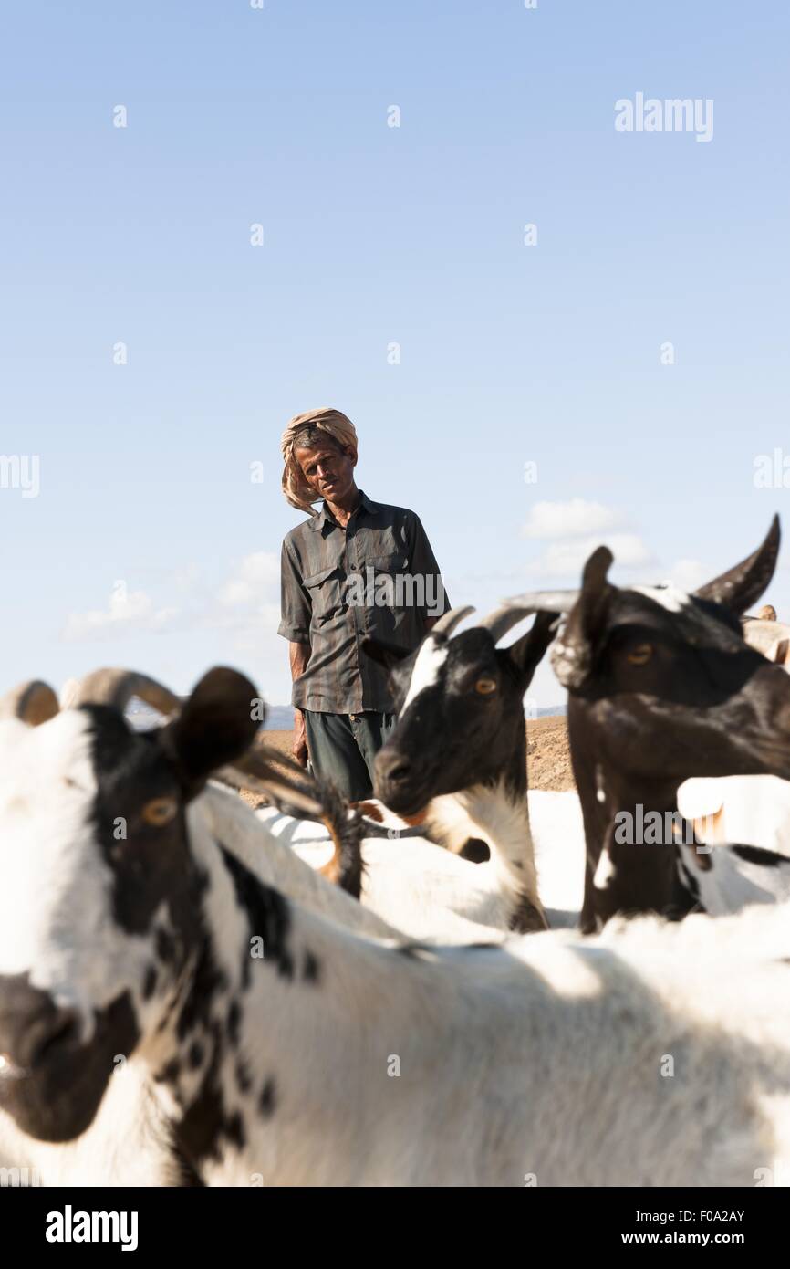 Ziegenhirt mit Ziegen in der Wüste von Salalah, Dhofar, Oman Stockfoto