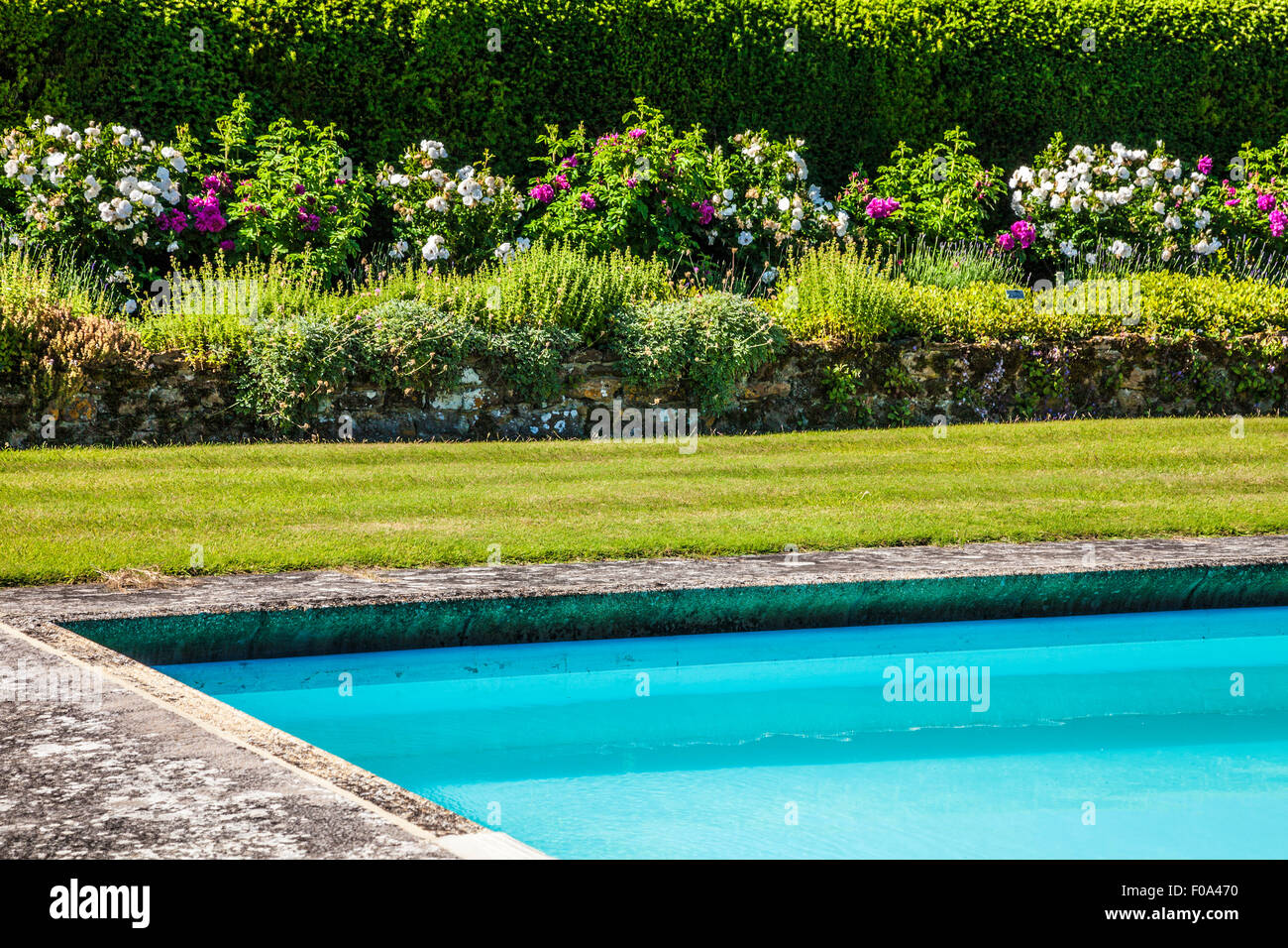 Das Schwimmbad im ummauerten Garten der Bowood House in Wiltshire. Stockfoto
