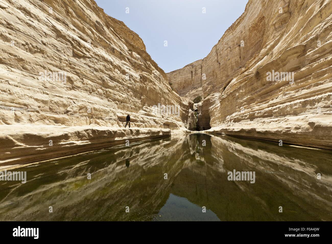 En Avdat Nationalpark, Negev-Wüste, Israel Stockfoto