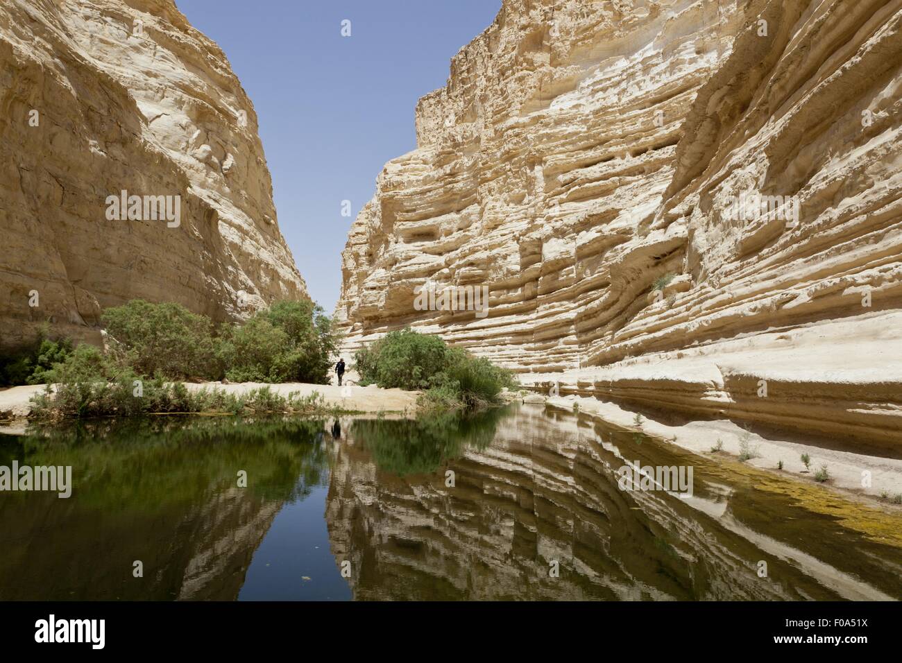 Blick auf Ein Avdat und stilles Wasser im En Avdat Nationalpark Negev, Israel Stockfoto