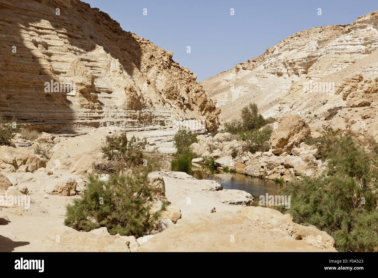 Ansicht des Menschen an Ein Avdat und stilles Wasser in En Avdat Nationalpark, Negev, Israel Stockfoto