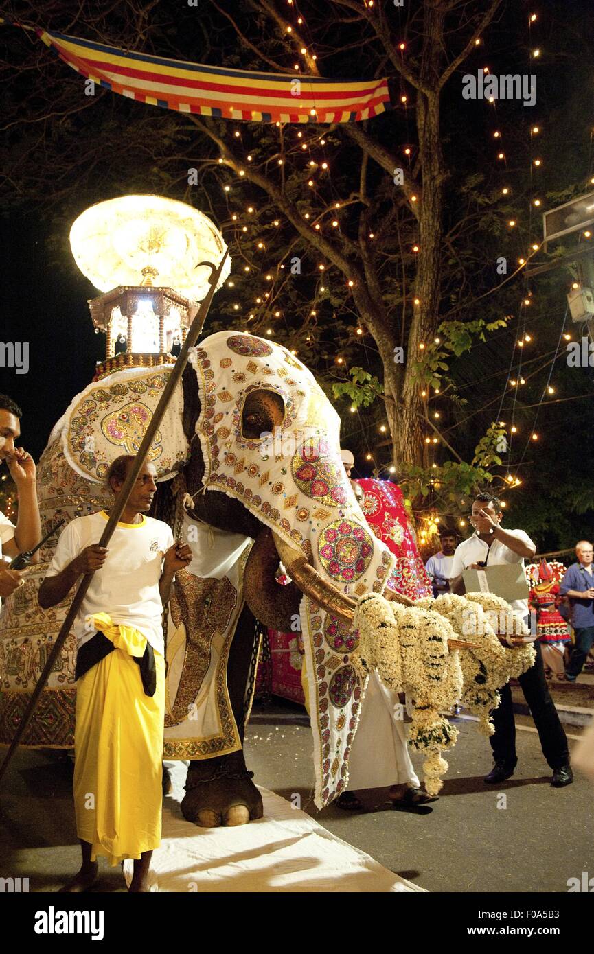 Elefanten werden dekoriert für Navam Perahera, Colombo, Sri Lanka Stockfoto