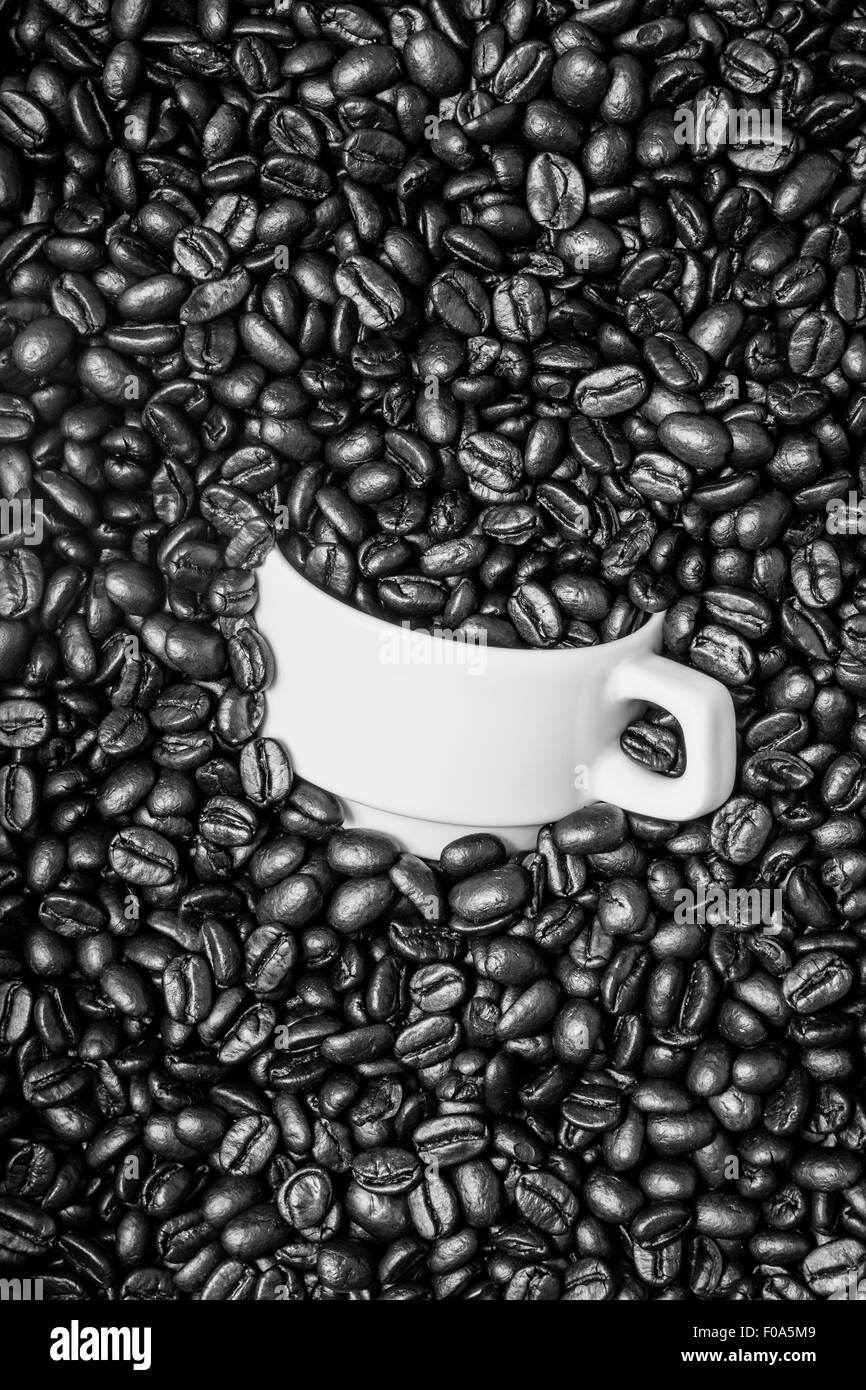 Kaffee Tasse stecken in den Kaffeebohnen Stockfoto
