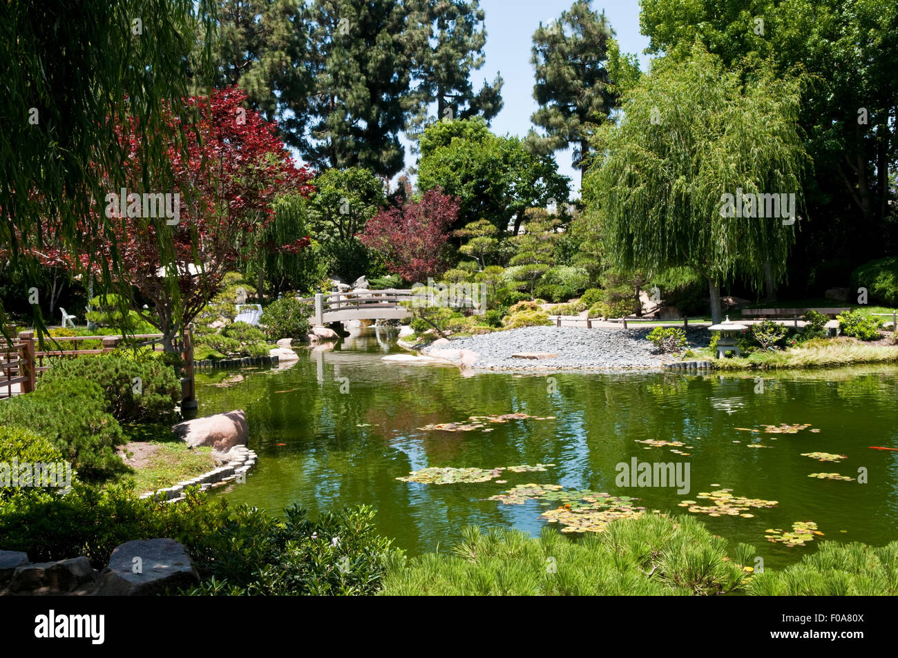 Der Earl Burns Miller japanische Garten auf dem Campus der California State University, Long Beach, Kalifornien, USA Stockfoto