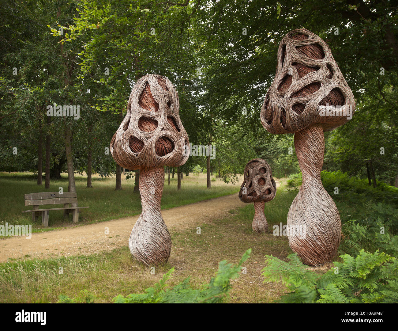 Morel Riesenpilz Skulpturen in Wakehurst Place. Stockfoto