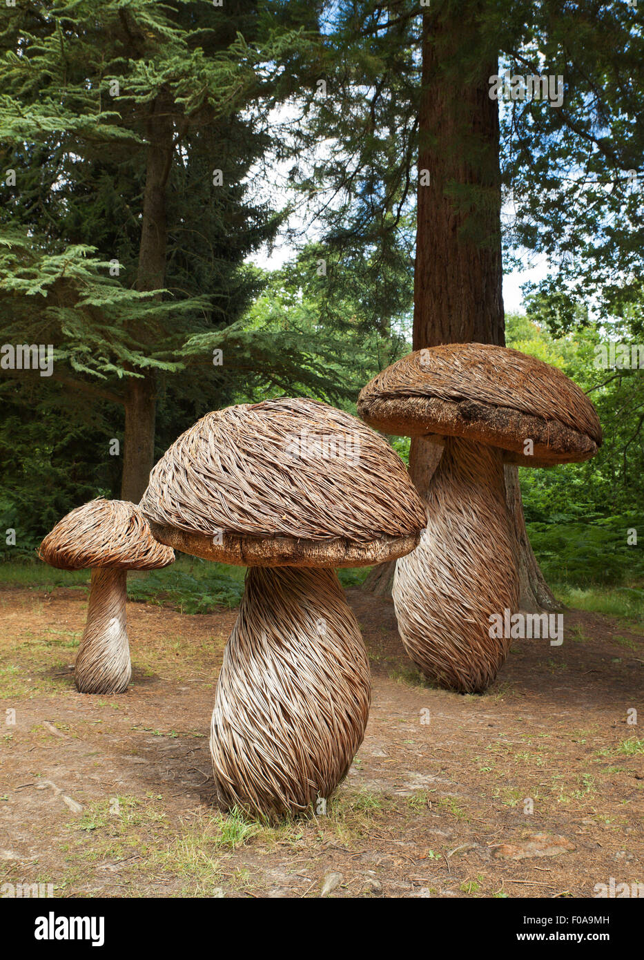 Riesen Steinpilz Skulpturen in Wakehurst Place. Stockfoto