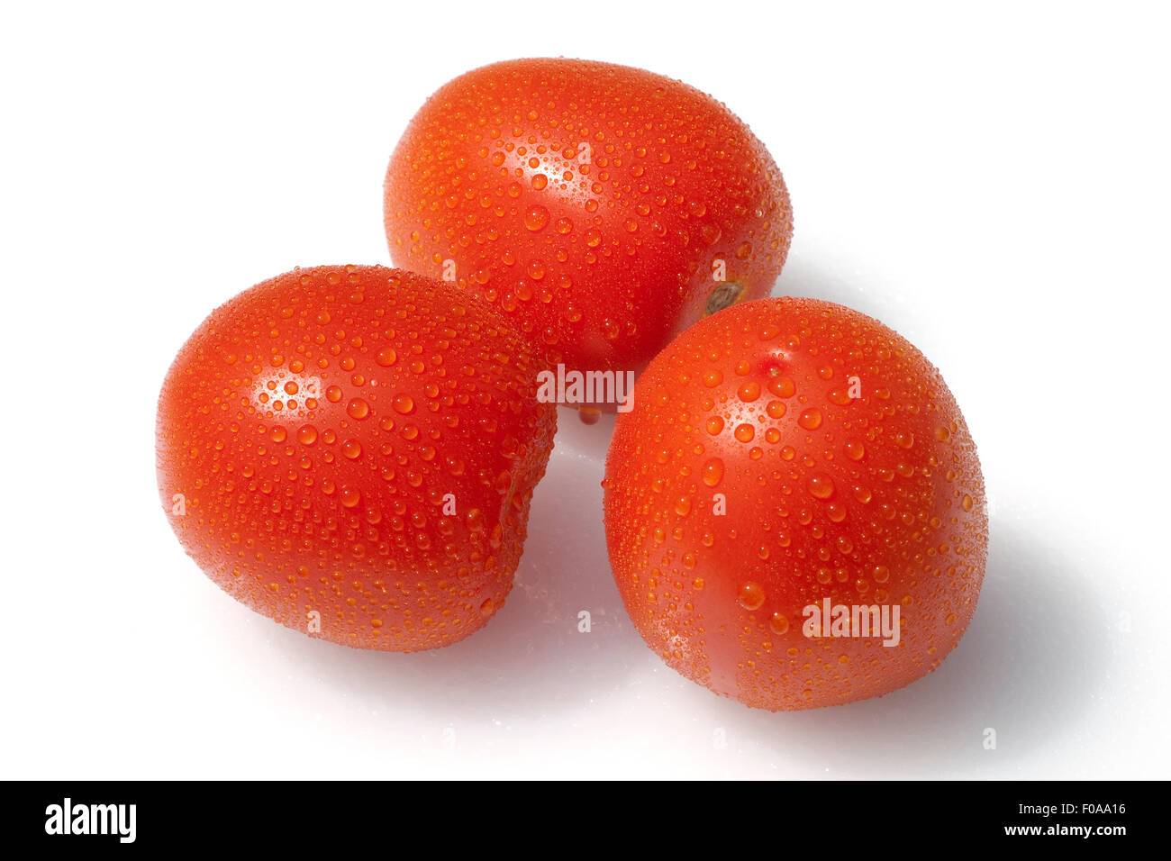 Roma-Tomaten, Romatomaten, Lycopersicon Esculentum; Stockfoto