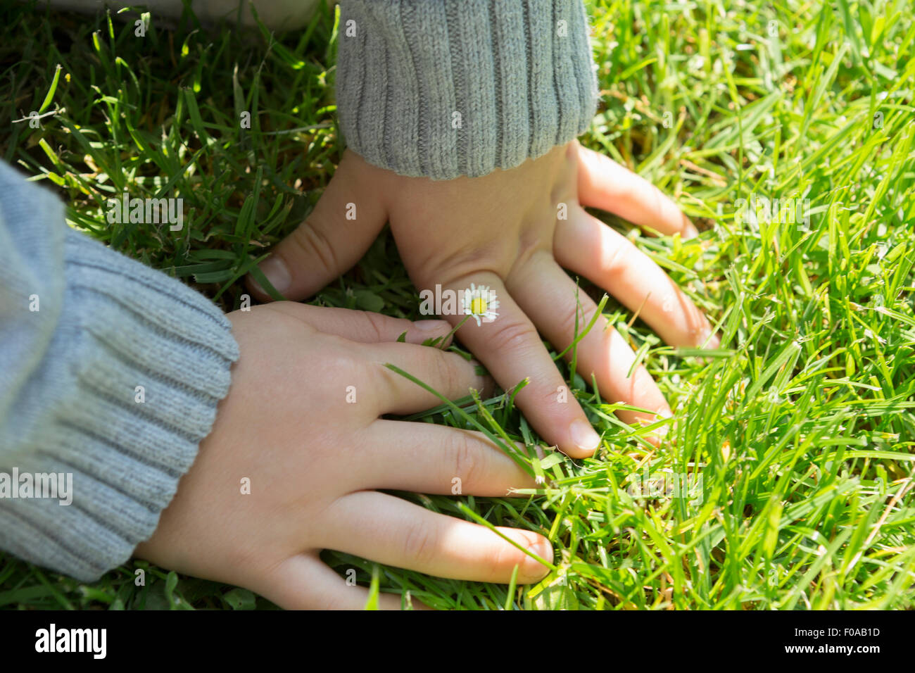 Hände berühren Rasen Stockfoto