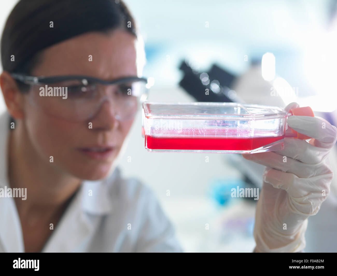 Weibliche Zellbiologe hält Kolben mit Stammzellen, kultiviert in roten Wachstumsmedium Stockfoto