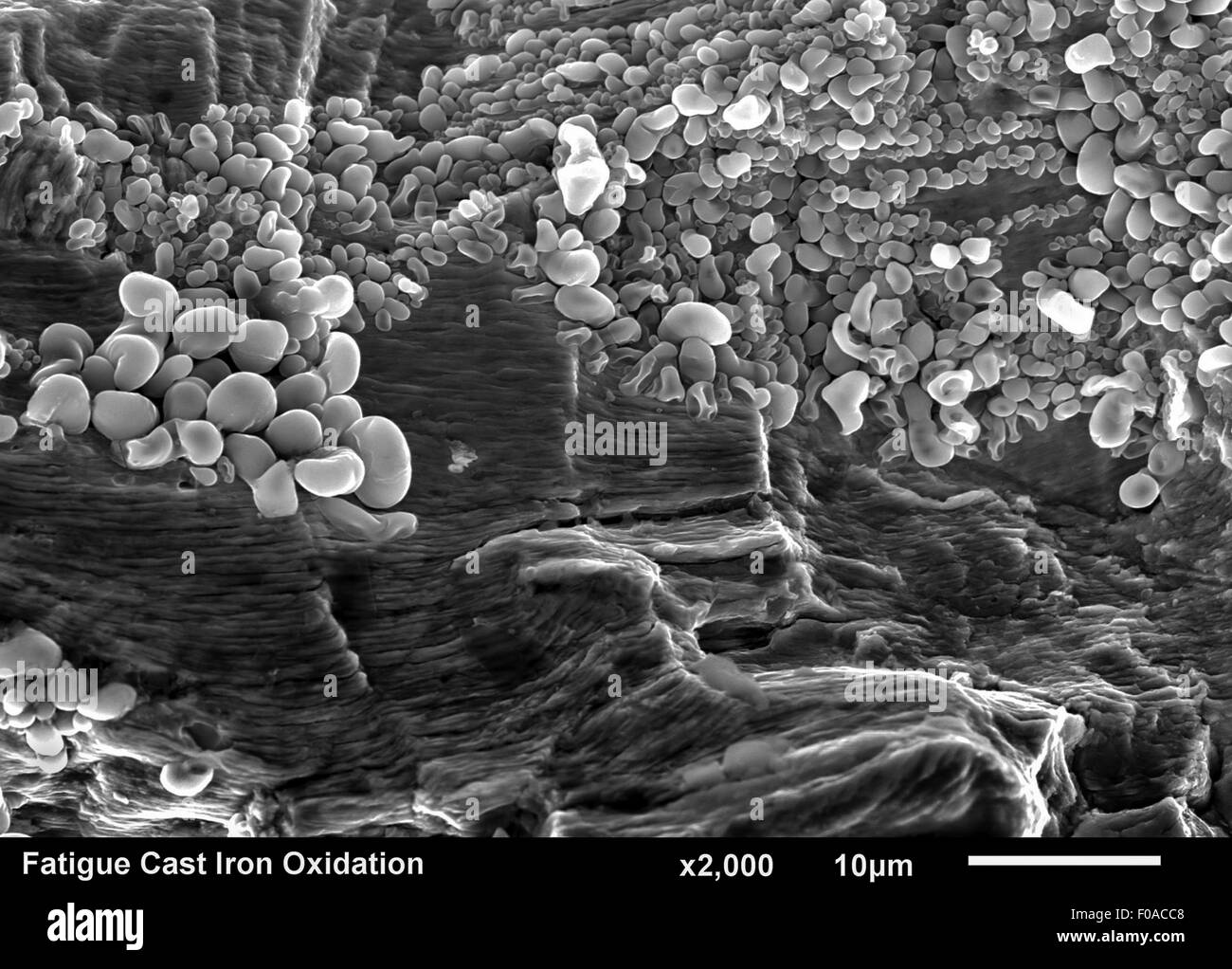Bruchfläche aus Gusseisen. Müdigkeit Streifung unter Eisenoxid Korrosion  abgebildet in einem Rasterelektronenmikroskop Stockfotografie - Alamy
