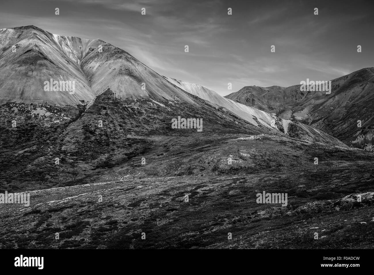 Denali, USA, Amerika, Alaska Stockfoto