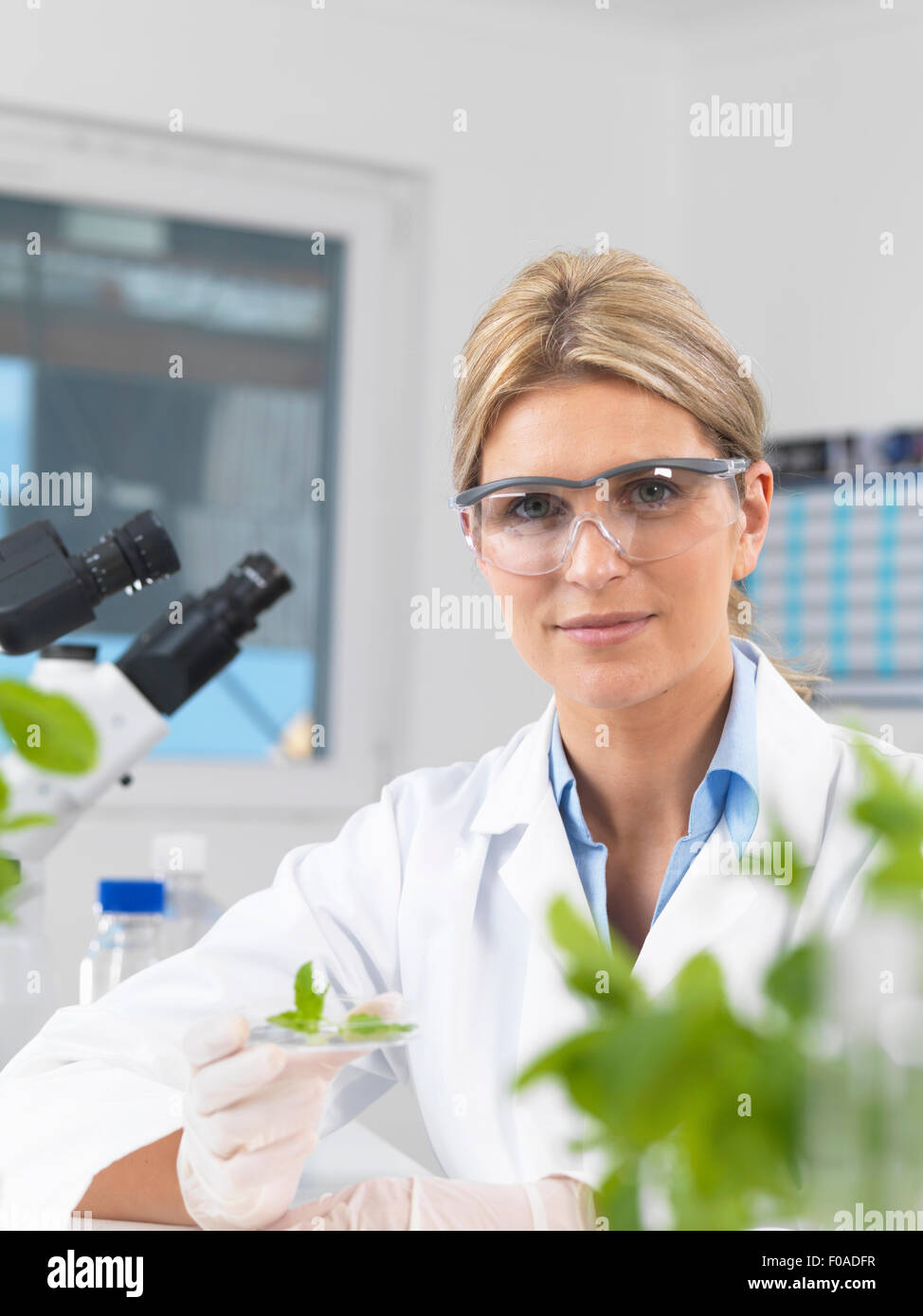 Wissenschaftler, die Entwicklung der experimentellen Pflanzen im Forschungslabor anzeigen Stockfoto