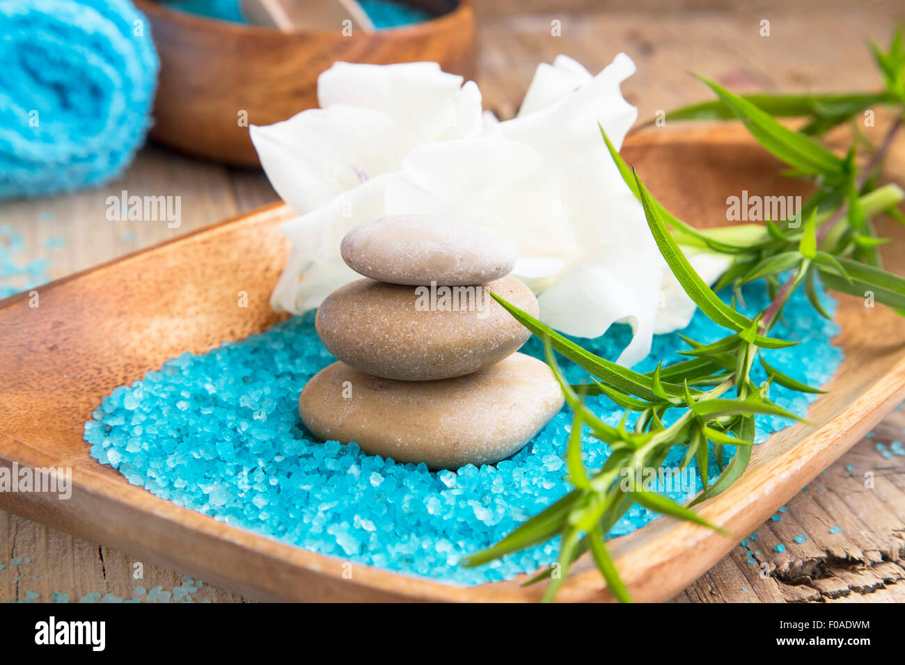 Spa-Stillleben-Einstellung mit Meersalz, Spa Steinen und grüne Pflanze Stockfoto
