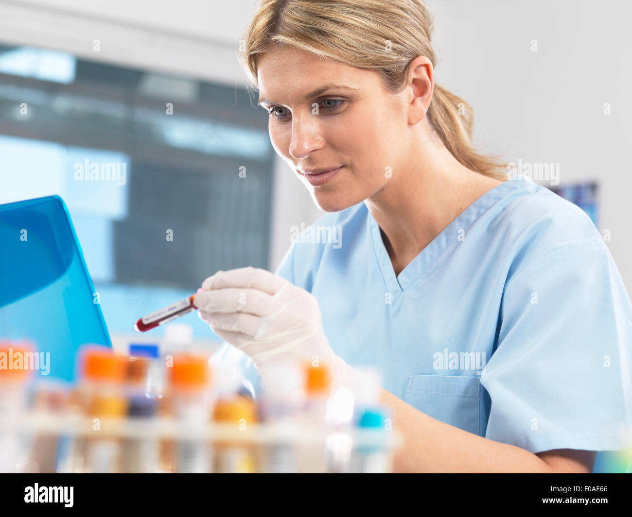 Mediziner, die Anzeige von Daten auf einem Computer für eine Blutprobe während des Tests Stockfoto