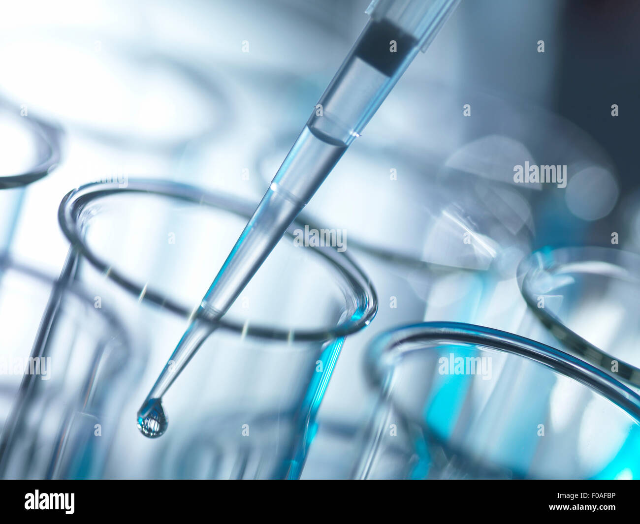 Analytische Chemie, Probe wird in ein Reagenzglas im Labor zu Testzwecken pipettiert Stockfoto