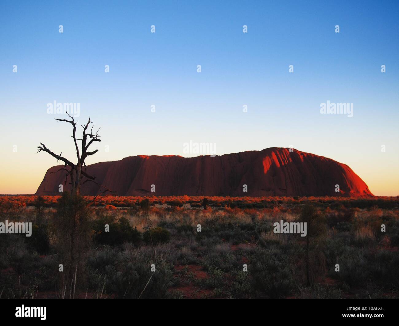 Uluru, Ayers Rock, Australien, Sonnenaufgang, Wüste Stockfoto