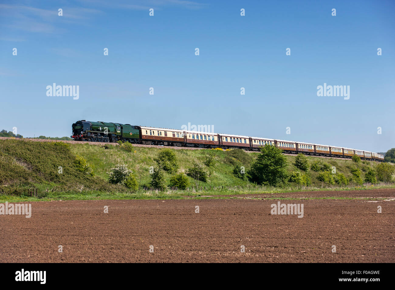 Clan Line 35028 schleppen die Pullman VSOE Stockfoto