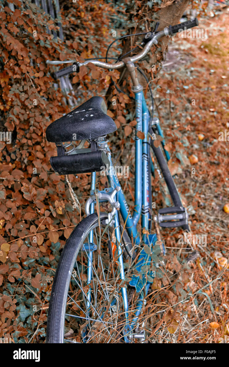 Gebrauchte Fahrrad in Unterholz bedeckt Stockfoto