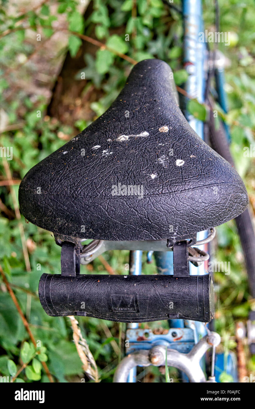 Gebrauchte Fahrrad in Unterholz bedeckt Stockfoto