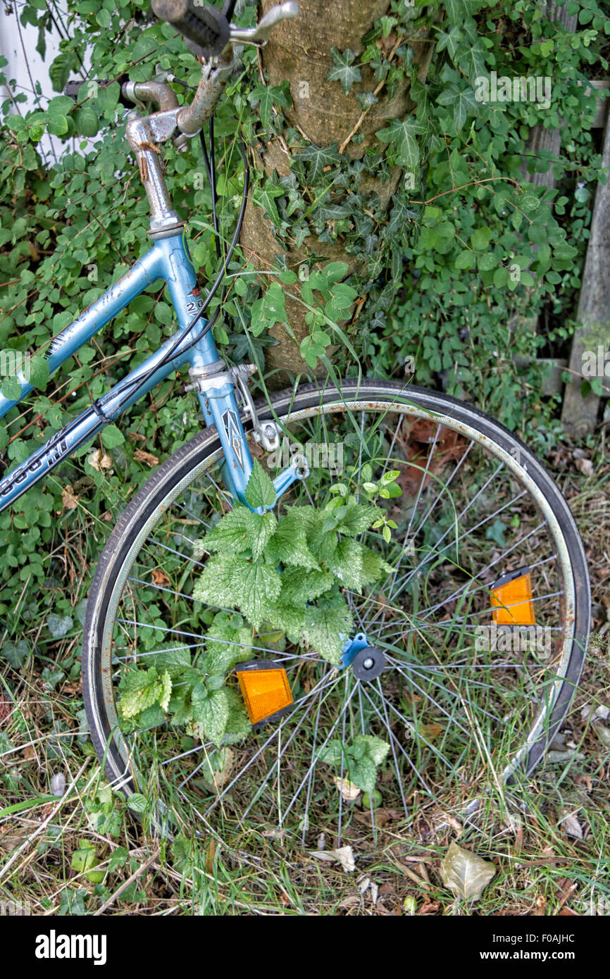 Gebrauchte Fahrrad in Unterholz bedeckt Stockfoto