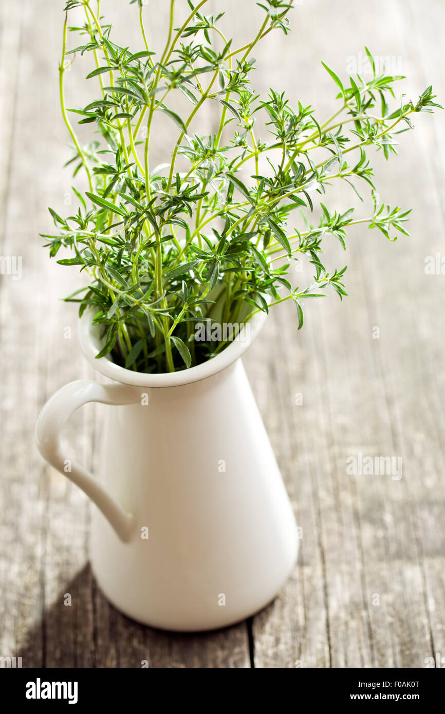Frisches Bohnenkraut Bündel in vase Stockfoto