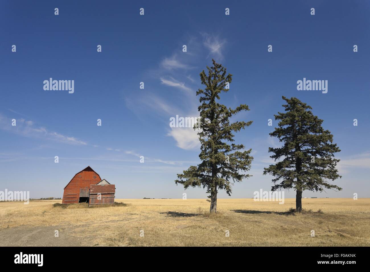 Ansicht des Landwirts House, Saskatchewan, Kanada Stockfoto