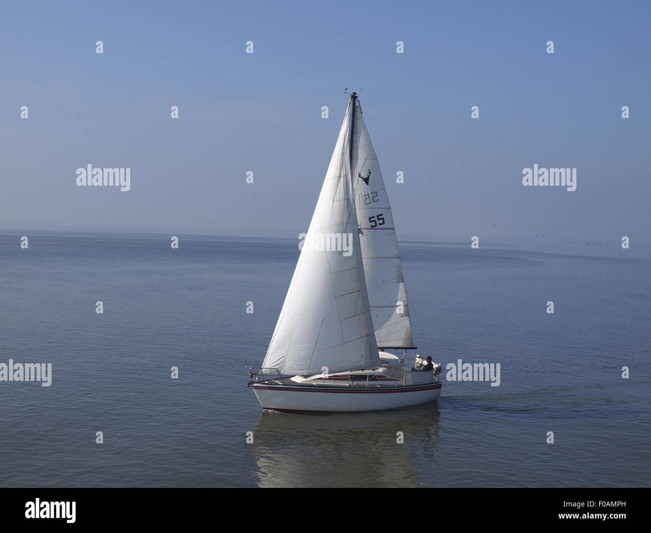 Segelboot im Meer auf Spiekeroog, Niedersachsen, Deutschland Stockfoto