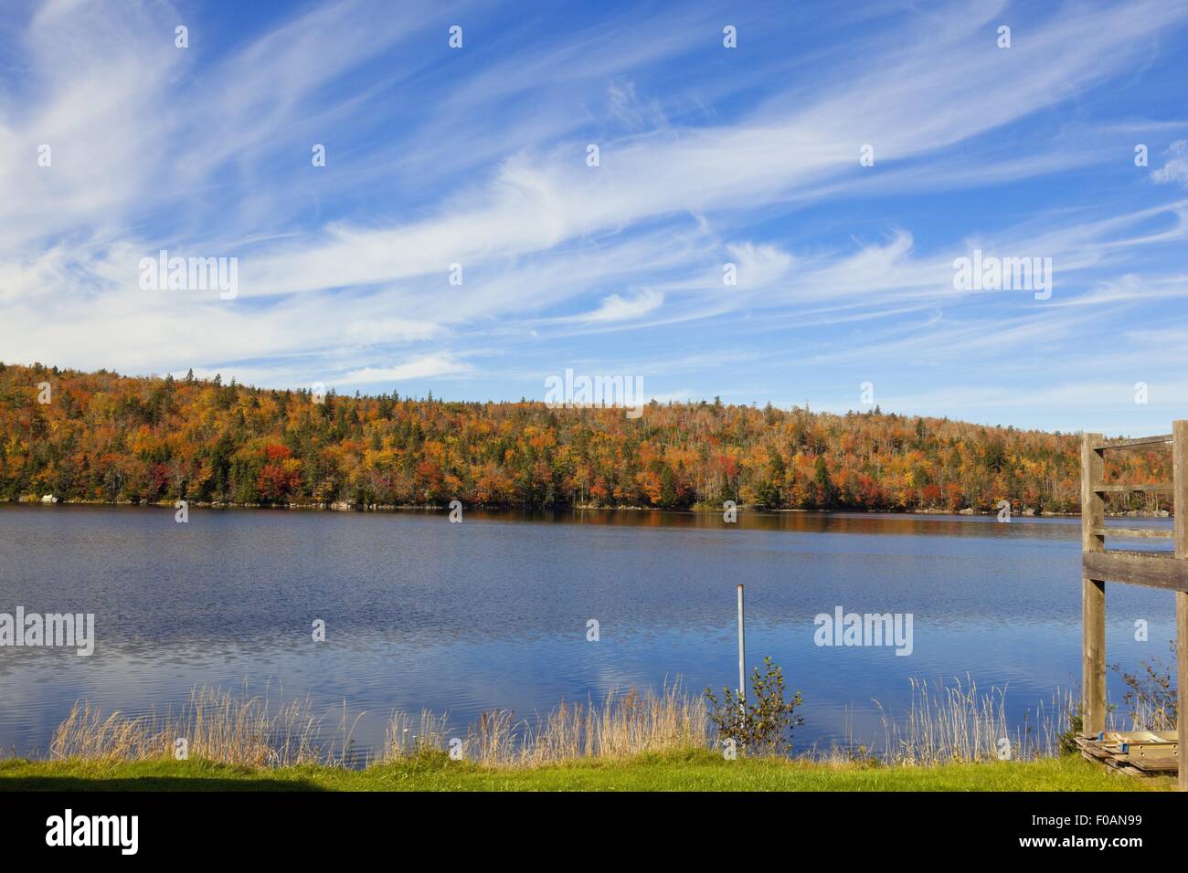 Blick auf White Lake und herbstlichen Wald bei der Aussicht, Nova Scotia, Kanada Stockfoto