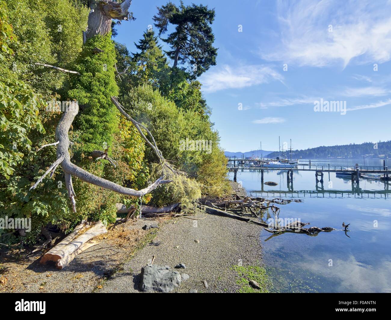 Sooke Hafen von Vancouver Island, Sooke, Britisch-Kolumbien, Kanada Stockfoto