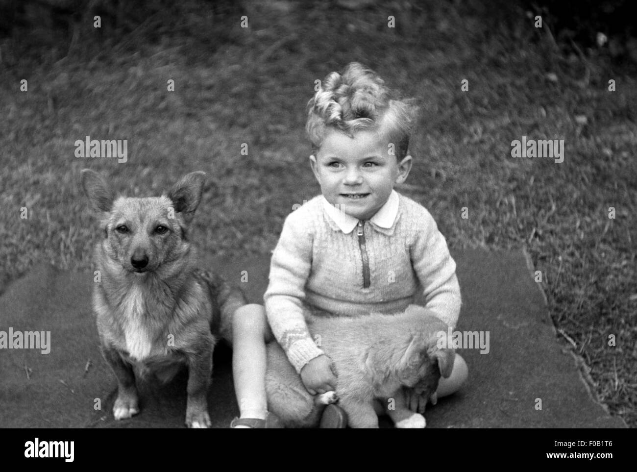 Porträt eines jungen Mannes mit seinen Hunden Stockfoto