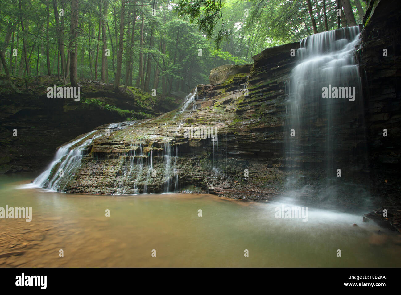 FREIHEIT WASSERFALL SHULL LAUFEN ÜBER ALLEGHENY RIVER VENANGO COUNTY PENNSYLVANIA USA Stockfoto