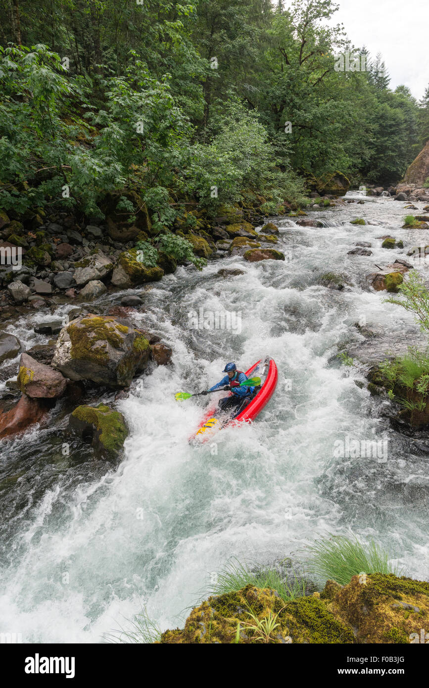 Paddeln ein aufblasbares Kajak auf der North Fork des Middle Fork Willamette River, Oregon. Stockfoto