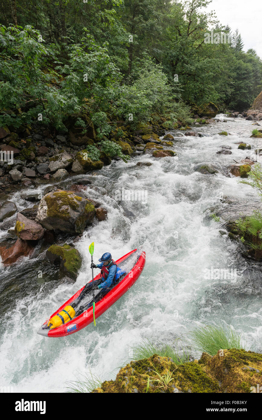 Paddeln ein aufblasbares Kajak auf der North Fork des Middle Fork Willamette River, Oregon. Stockfoto