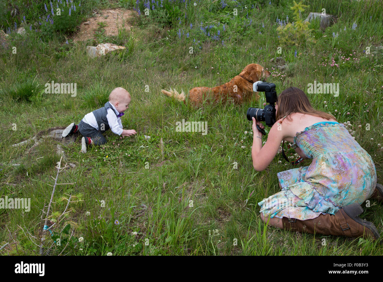 Dillon, Colorado - Hochzeitsfotograf Joy Tate fotografiert-jährige Adam Hjermstad, Jr. am Tag der Ehe seiner Eltern. Stockfoto